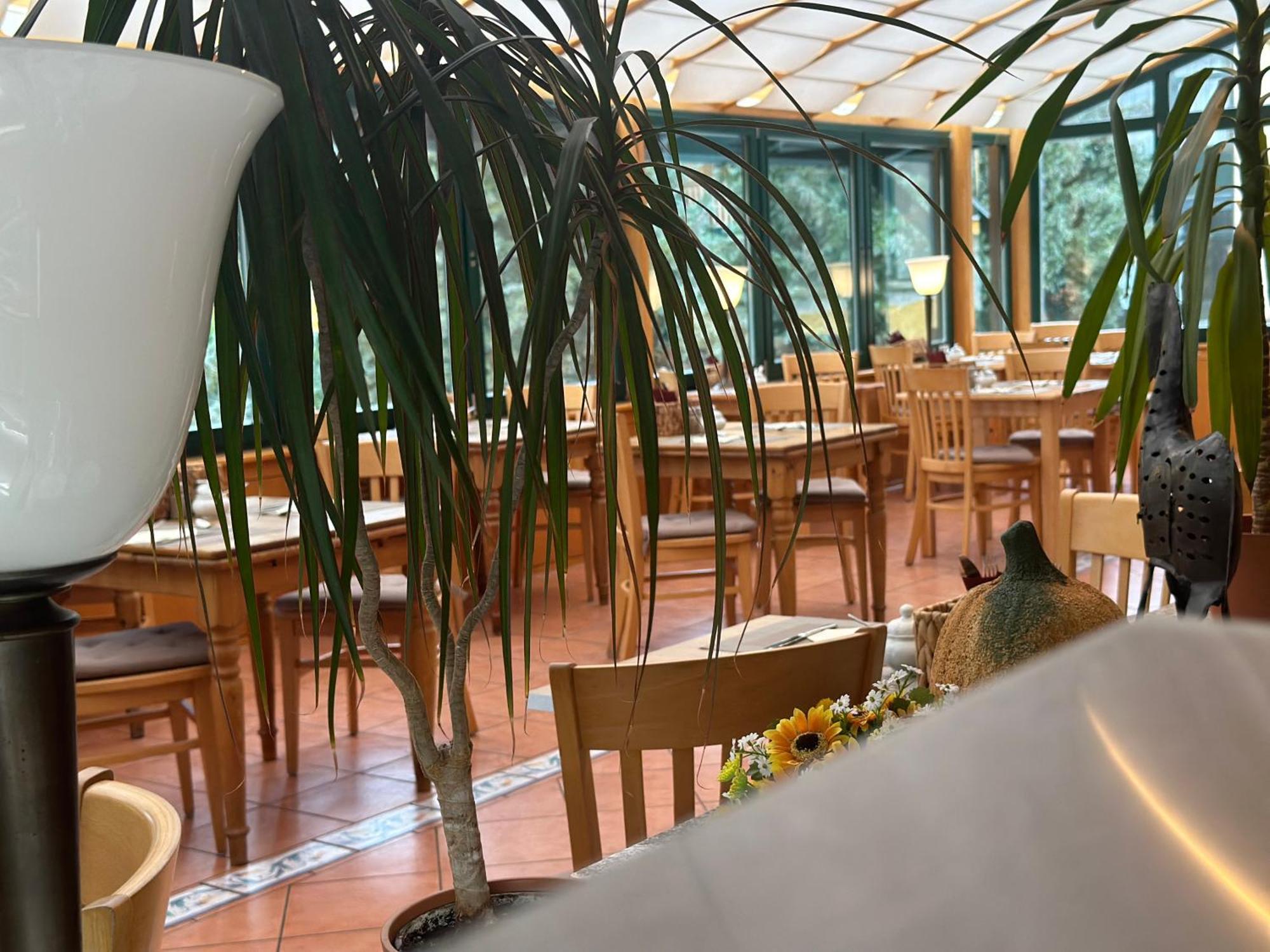Landhotel Harz Thale Eksteriør billede