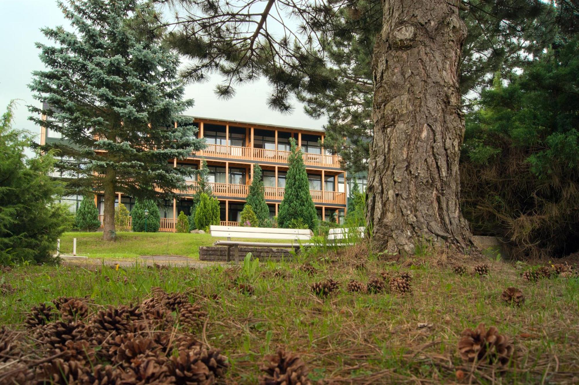 Landhotel Harz Thale Eksteriør billede
