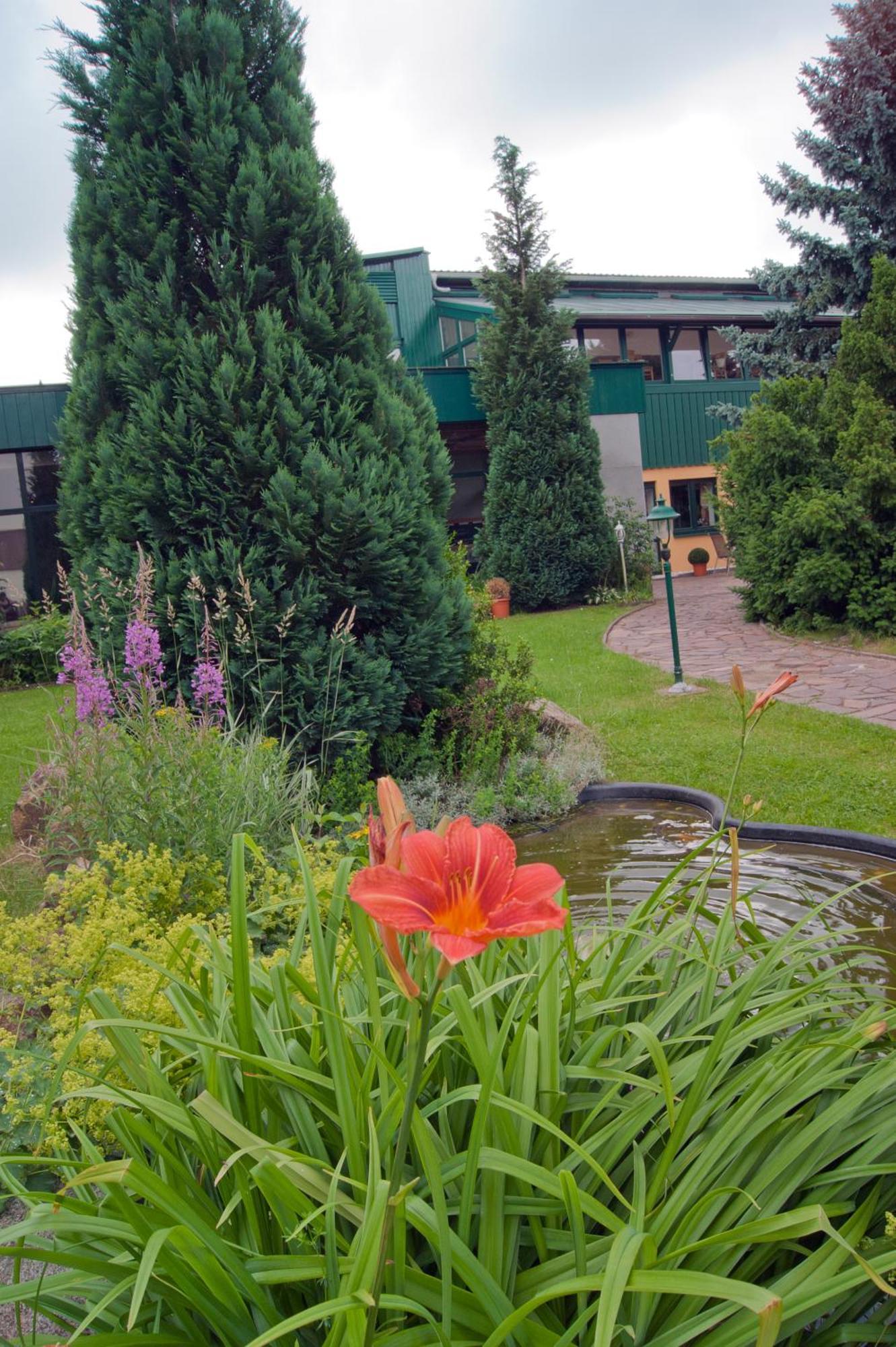 Landhotel Harz Thale Eksteriør billede